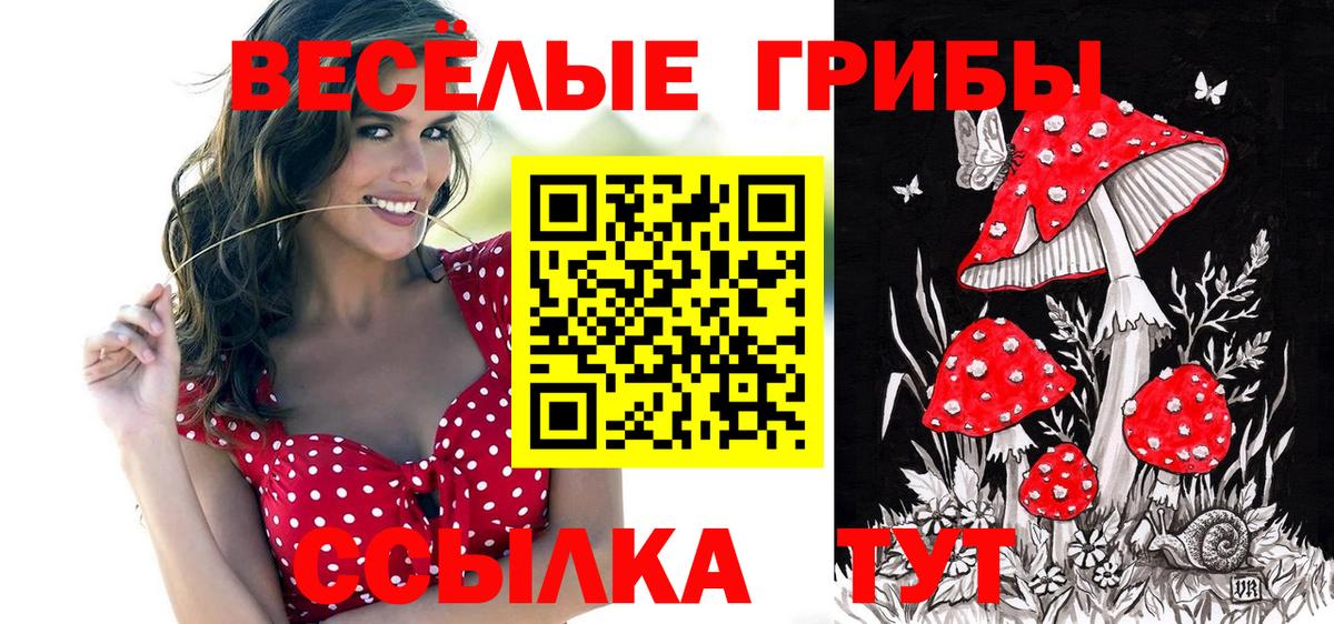 Дзержинский  Псилоцибиновые грибы Magic Shrooms  Вход с VPN 