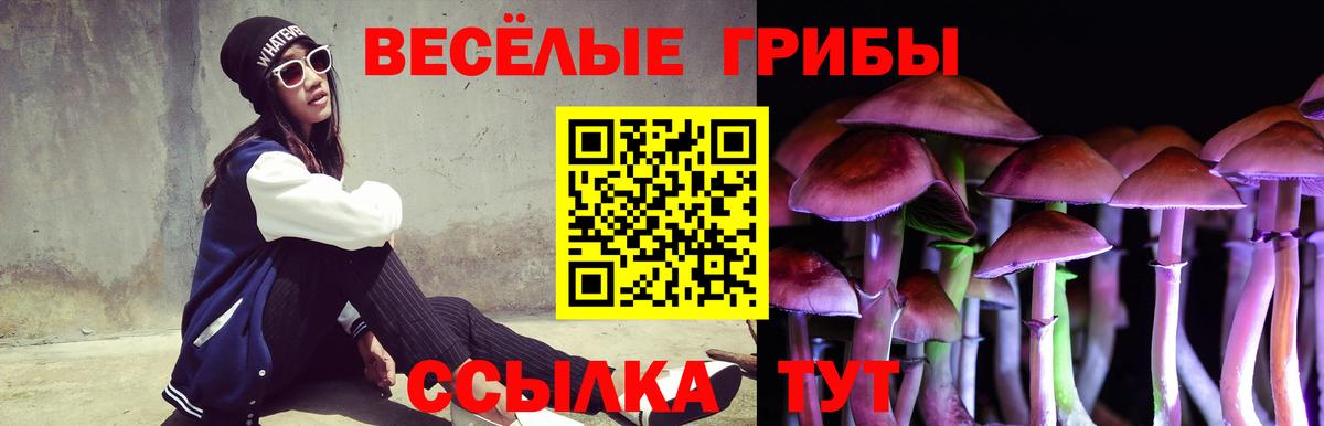 Галлюциногенные грибы ЛСД Дзержинский